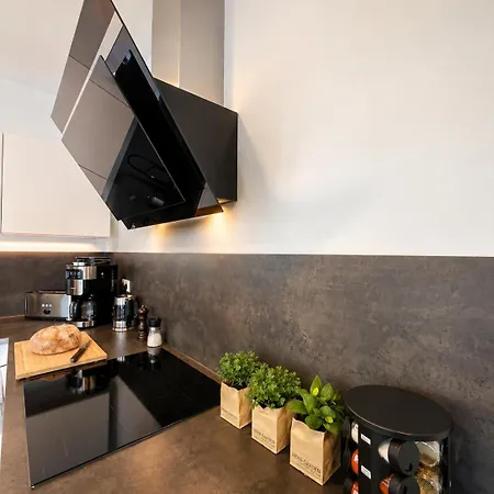 Penthouse K11 - The Bodensee Apartment